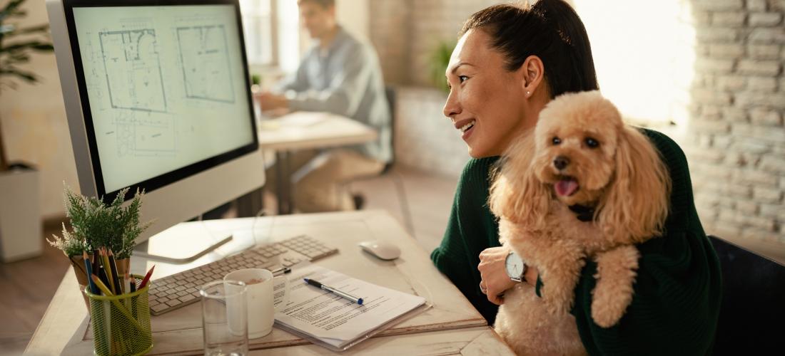 Woman at desk in office holding a dog